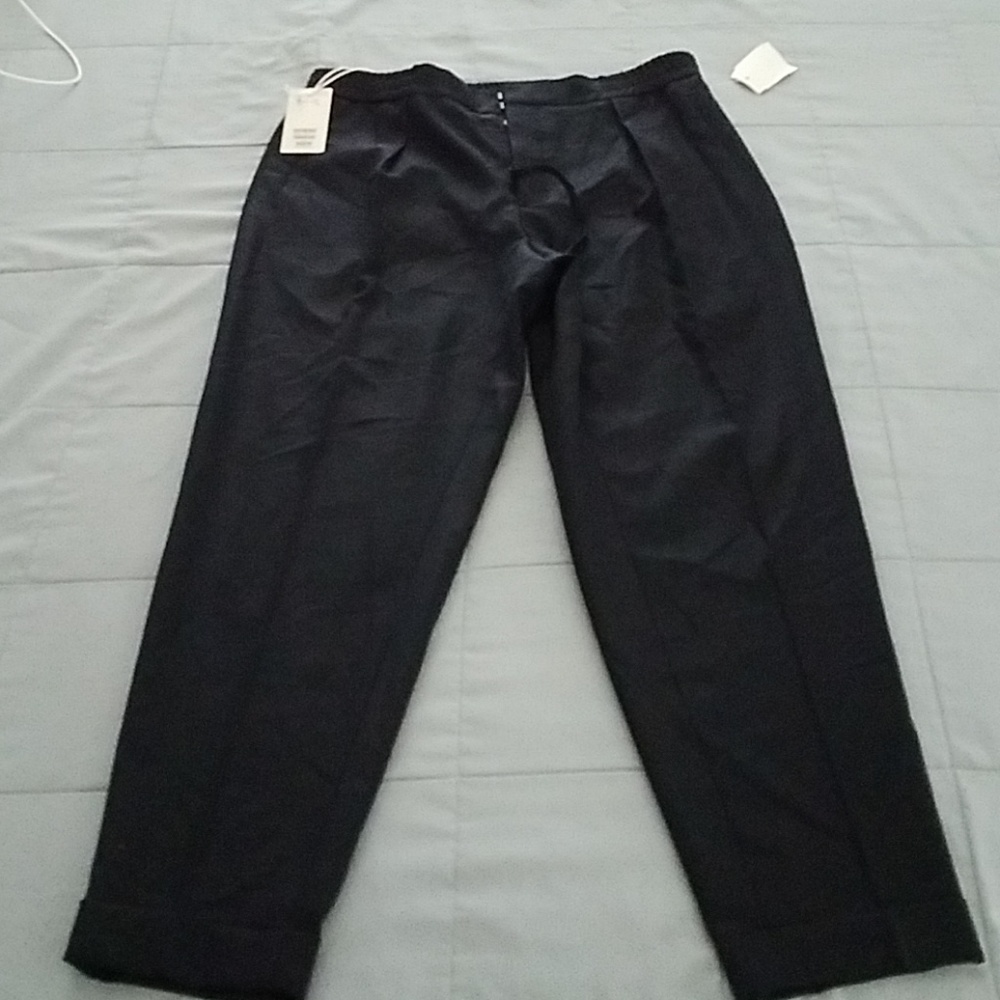 NWTS COS BUTTON FLY PLEATED CUFFED DRESS PANT. 34R